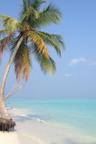 Lakshadweep 4N5D - Gallery image 3
