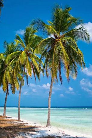 Lakshadweep 4N5D - Gallery image 2