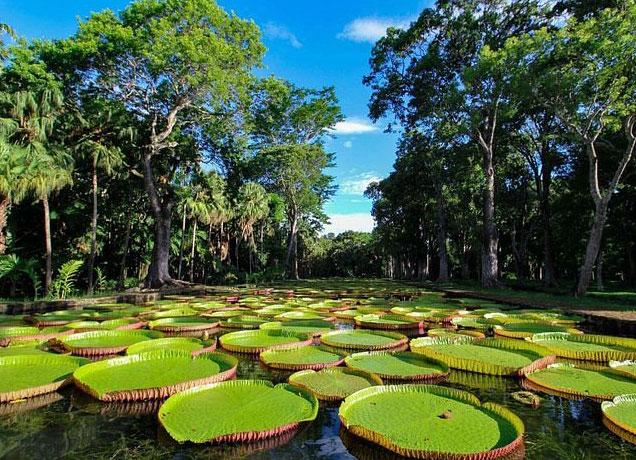 Mauritius 5N6D - Main gallery image