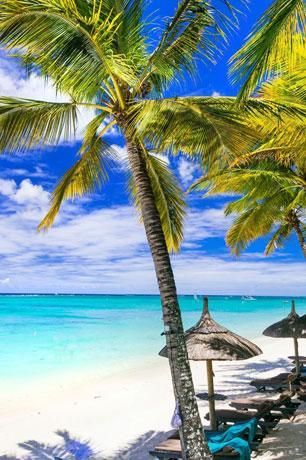 Mauritius 6N7D - Gallery image 3
