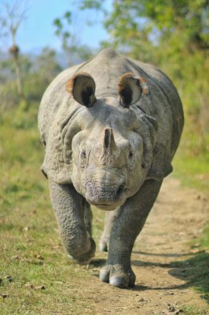 Nepal 7N8D - Gallery image 3