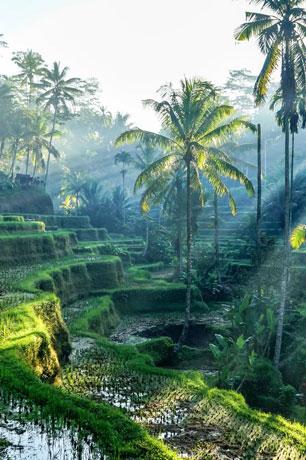 Bali 6N7D - Gallery image 2