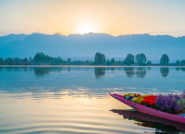 Kashmir 6N7D - Main gallery image