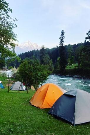 Kashmir 6N7D - Gallery image 2