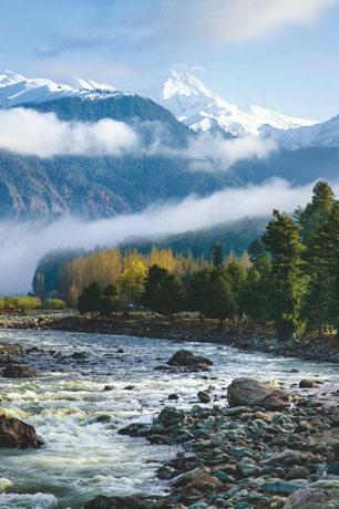 Kashmir 6N7D - Gallery image 3