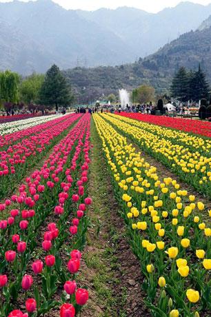 Kashmir 7N8D - Gallery image 2