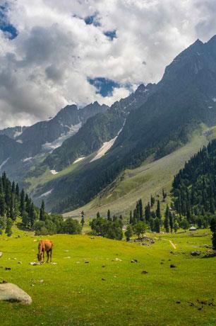 Kashmir 7N8D - Gallery image 3