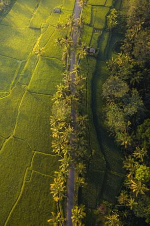 Kerala 7N8D - Gallery image 2