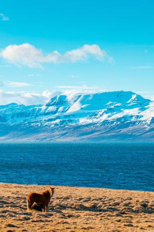 Ladakh 5N6D - Gallery image 2