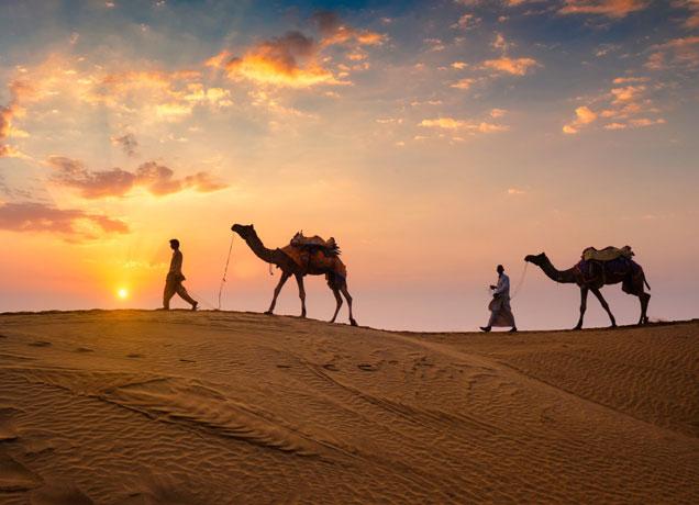 Rajasthan 6N7D - Main gallery image