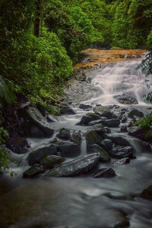 South India 7N8D - Gallery image 3