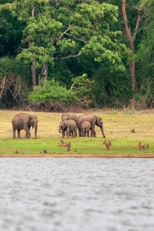 South India 7N8D - Gallery image 2