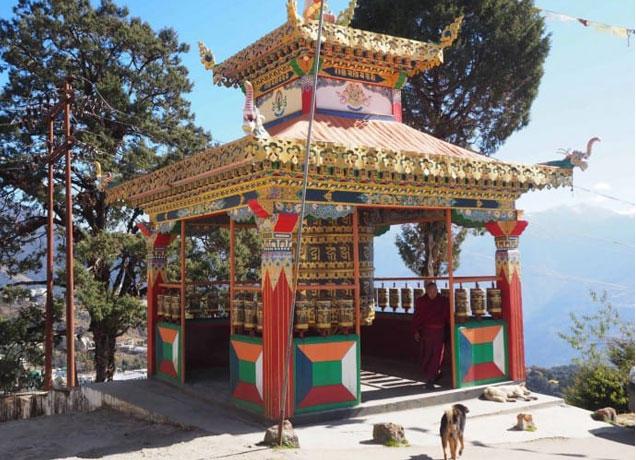 MANIPUR 4N5D - Main gallery image
