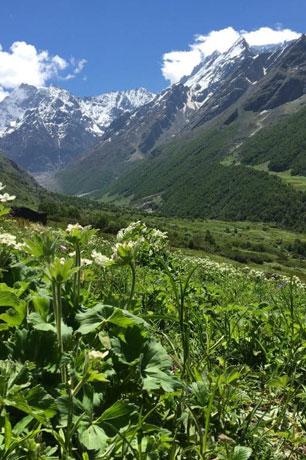 Uttarakhand 6N7D - Gallery image 3